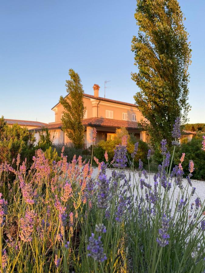 Agriturismo Tre Di Spade ซาวิโอ ดิ ราเวนนา ภายนอก รูปภาพ